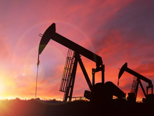 oil